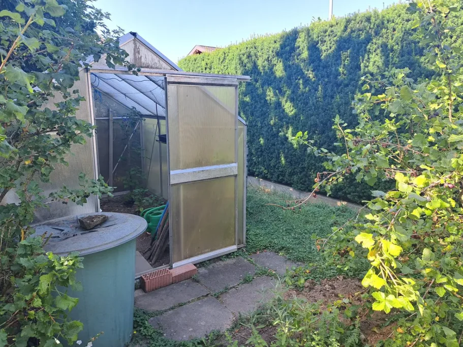 Garten mit Gewächshaus